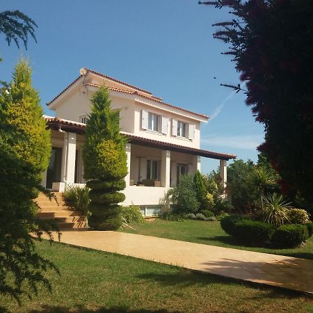 Beautiful Summer Villa In Chalkoutsi Khalkoutsion المظهر الخارجي الصورة