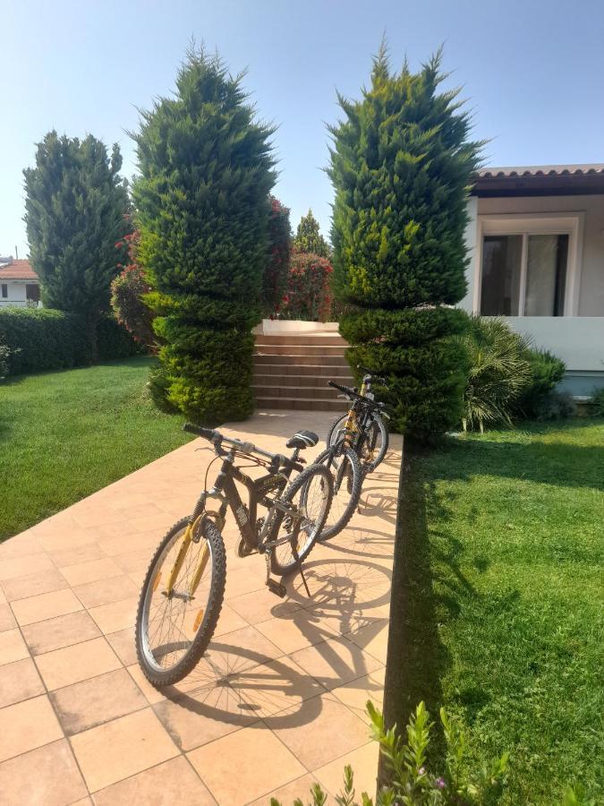Beautiful Summer Villa In Chalkoutsi Khalkoutsion المظهر الخارجي الصورة