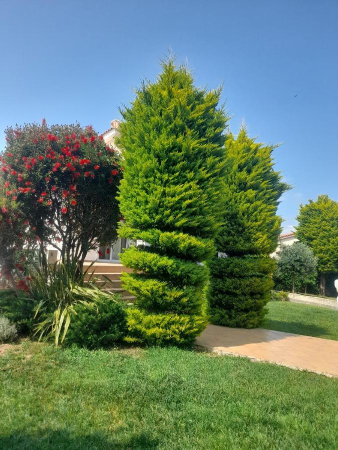 Beautiful Summer Villa In Chalkoutsi Khalkoutsion المظهر الخارجي الصورة