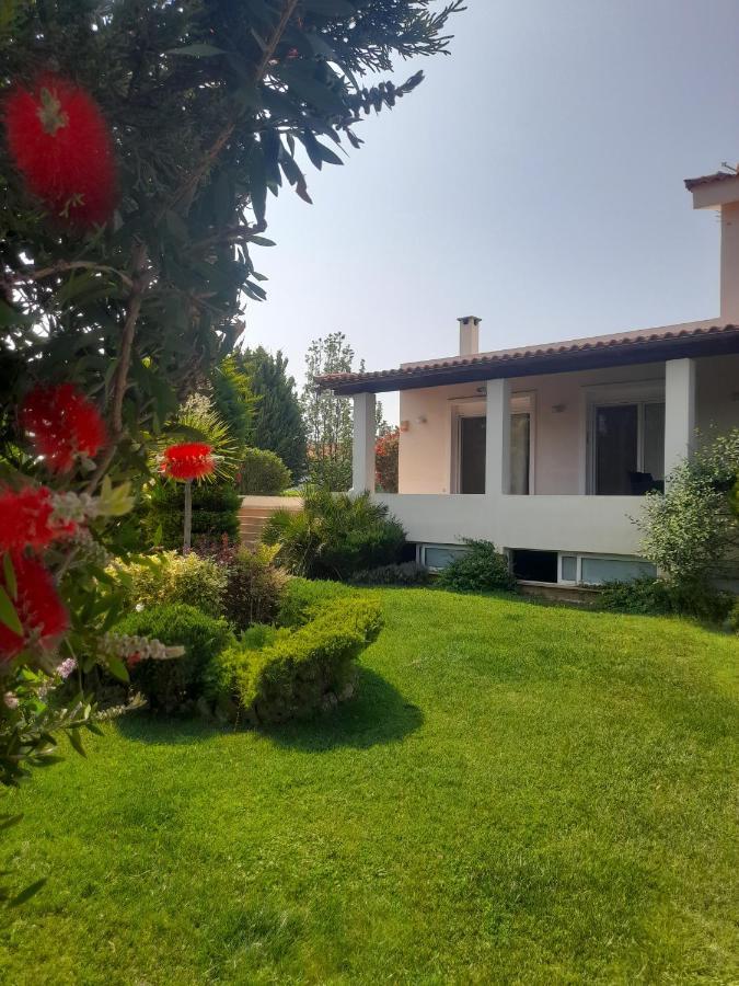 Beautiful Summer Villa In Chalkoutsi Khalkoutsion المظهر الخارجي الصورة
