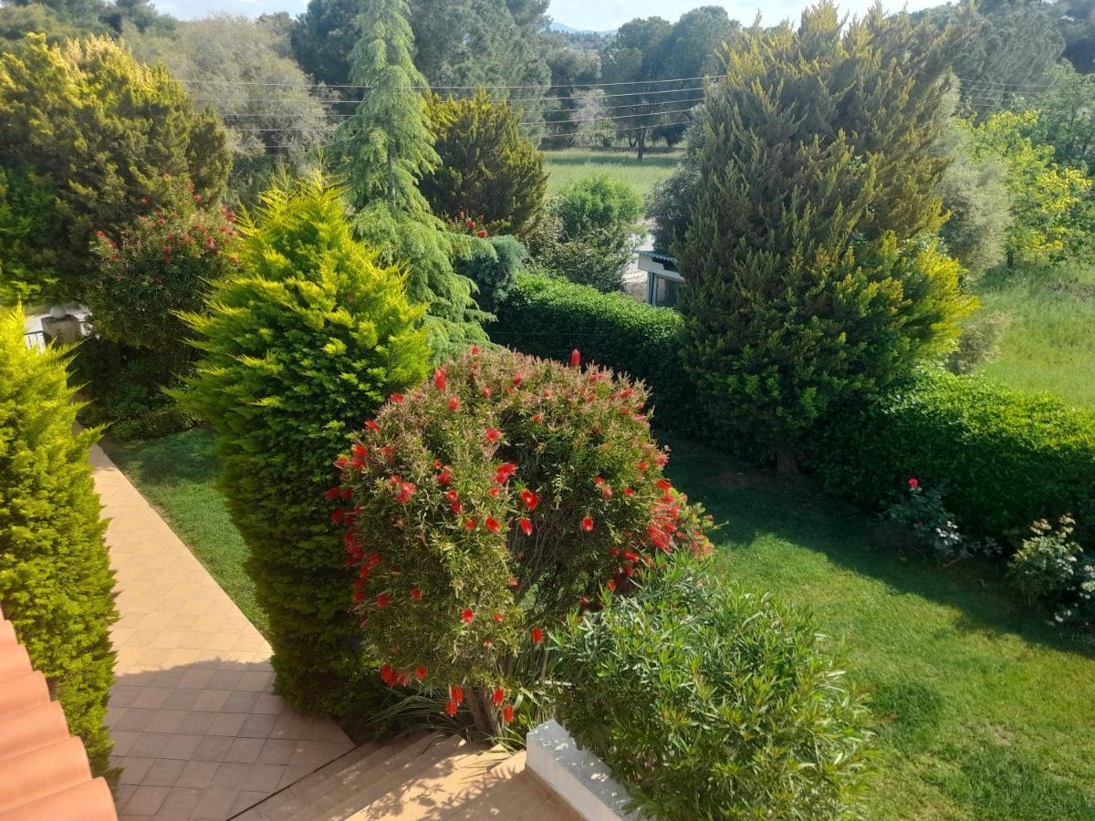 Beautiful Summer Villa In Chalkoutsi Khalkoutsion المظهر الخارجي الصورة