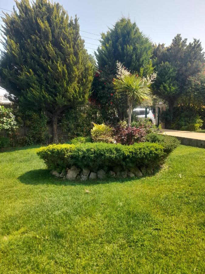 Beautiful Summer Villa In Chalkoutsi Khalkoutsion المظهر الخارجي الصورة
