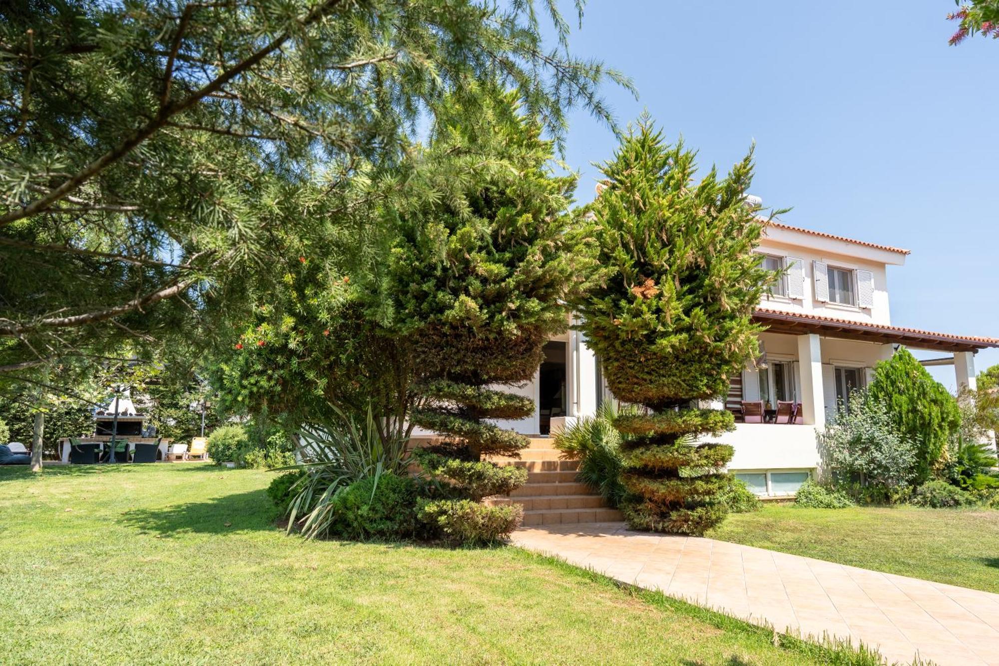 Beautiful Summer Villa In Chalkoutsi Khalkoutsion المظهر الخارجي الصورة