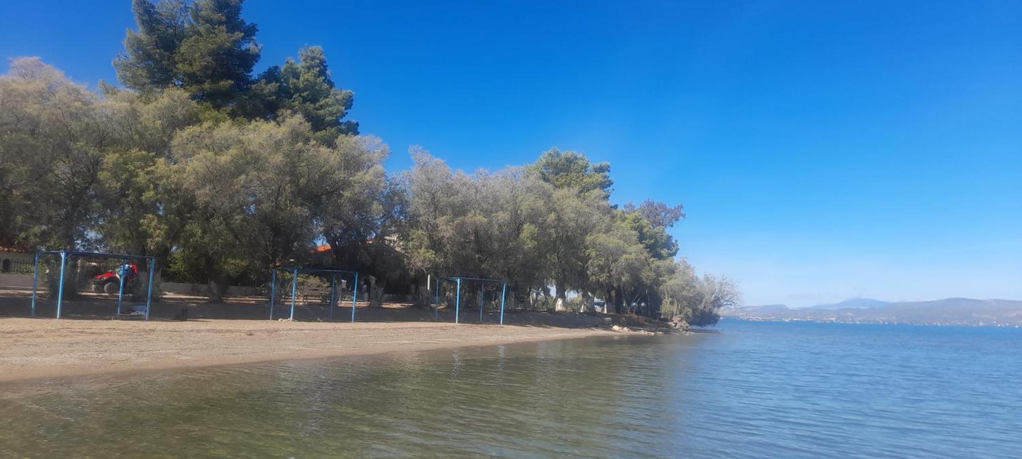 Beautiful Summer Villa In Chalkoutsi Khalkoutsion المظهر الخارجي الصورة