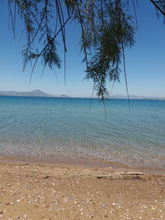 Beautiful Summer Villa In Chalkoutsi Khalkoutsion المظهر الخارجي الصورة
