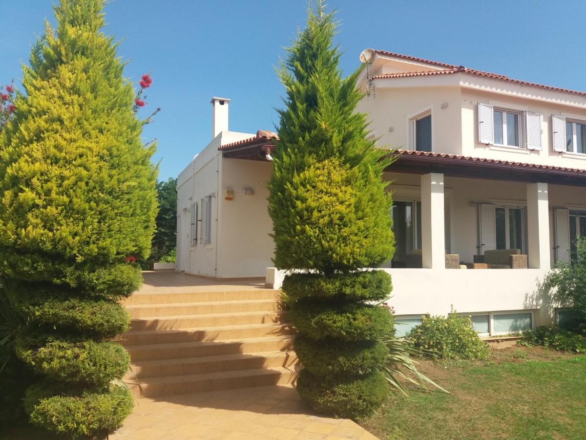 Beautiful Summer Villa In Chalkoutsi Khalkoutsion المظهر الخارجي الصورة