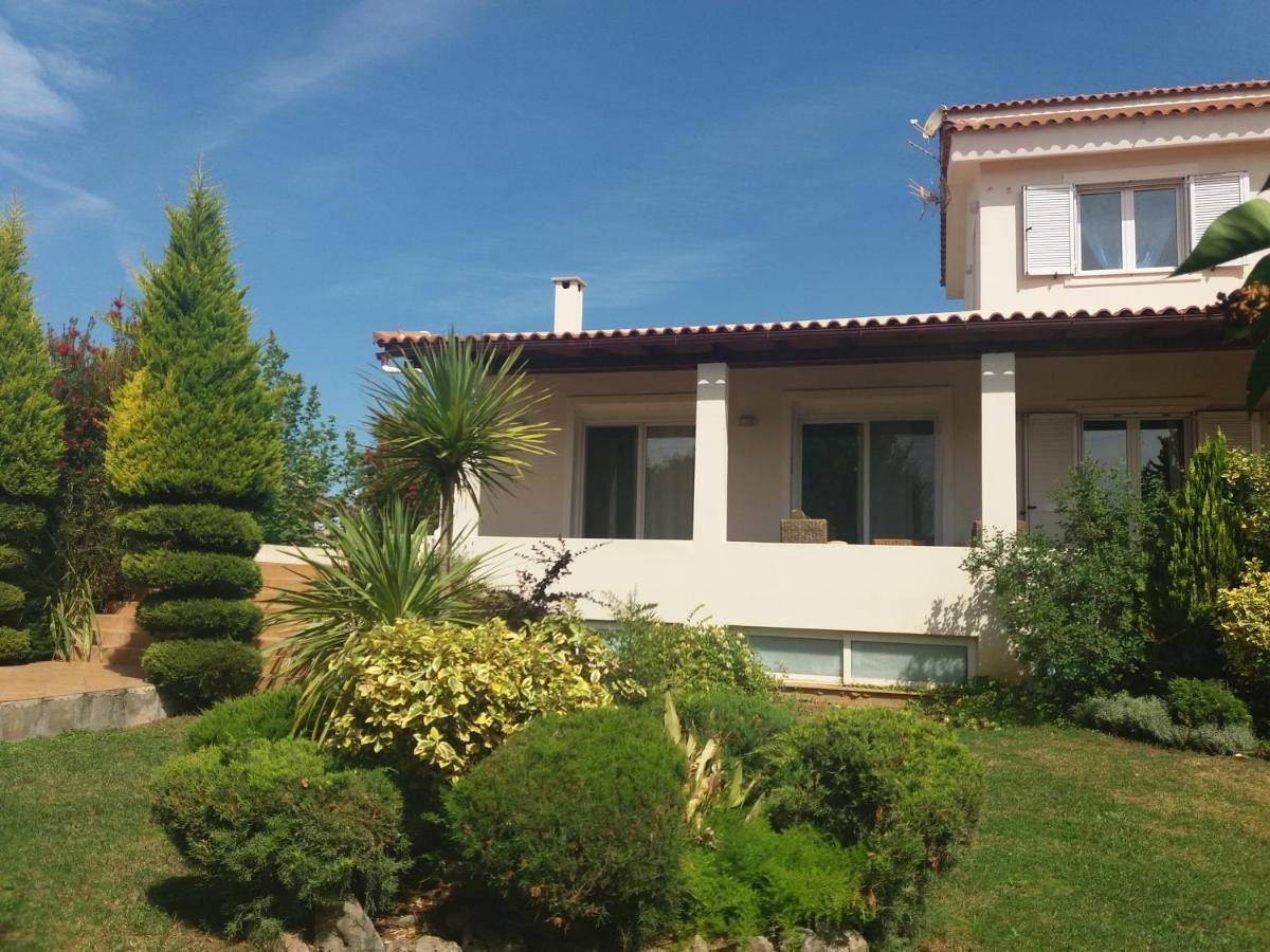 Beautiful Summer Villa In Chalkoutsi Khalkoutsion المظهر الخارجي الصورة