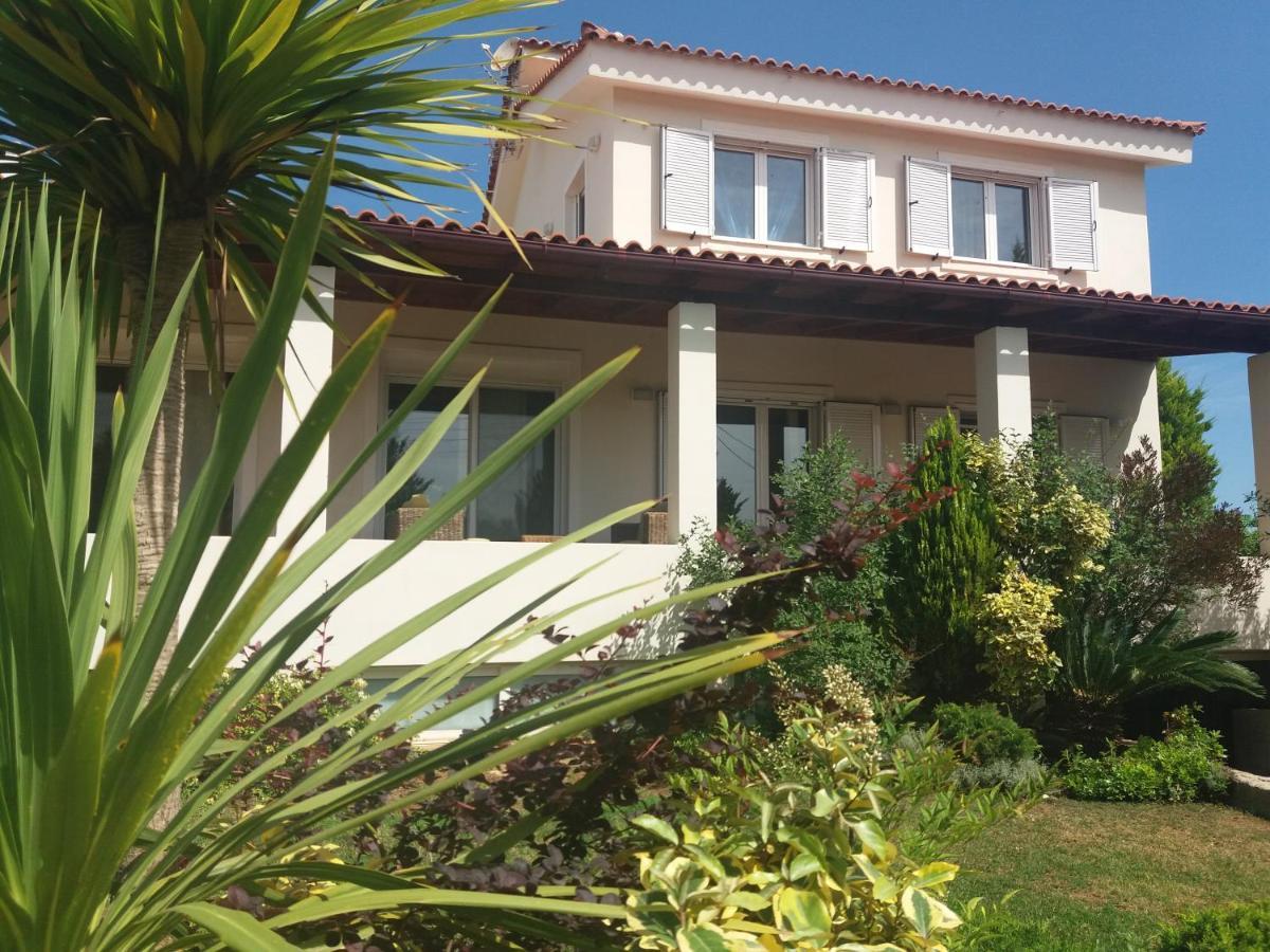 Beautiful Summer Villa In Chalkoutsi Khalkoutsion المظهر الخارجي الصورة