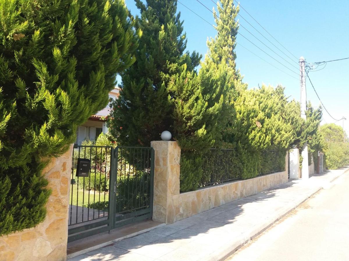 Beautiful Summer Villa In Chalkoutsi Khalkoutsion المظهر الخارجي الصورة