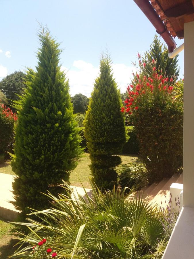 Beautiful Summer Villa In Chalkoutsi Khalkoutsion المظهر الخارجي الصورة