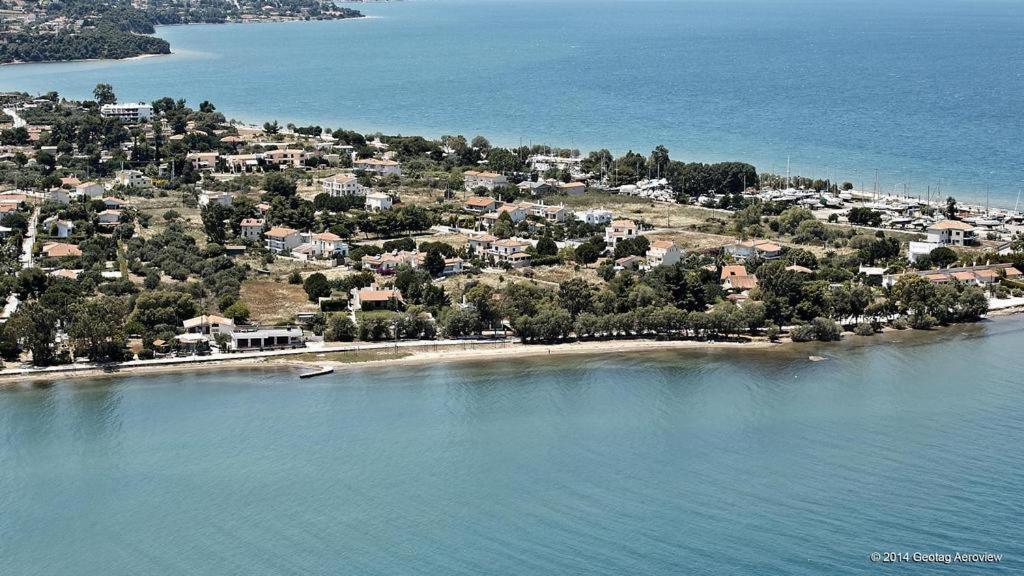 Beautiful Summer Villa In Chalkoutsi Khalkoutsion المظهر الخارجي الصورة